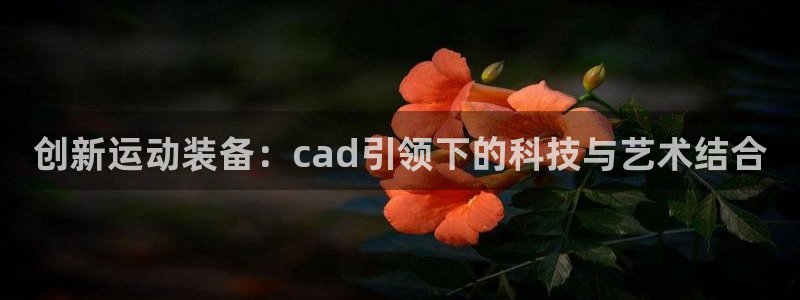 意昂4集团E.ON:创新运动装备:cad引领下的科技与艺术结